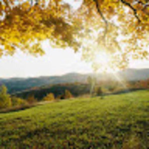 Meet your Posher, Brittney